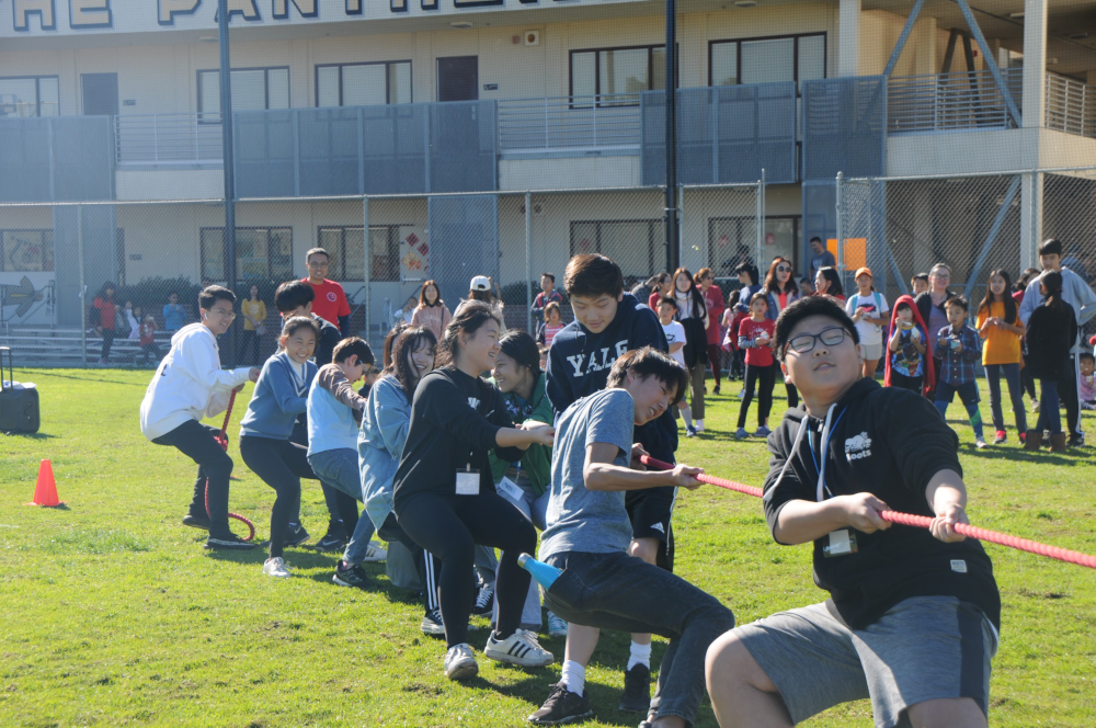 TugOfWar